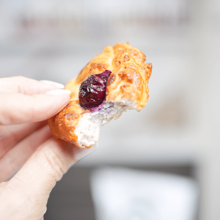 Wild Blueberry Protein Donut Holes