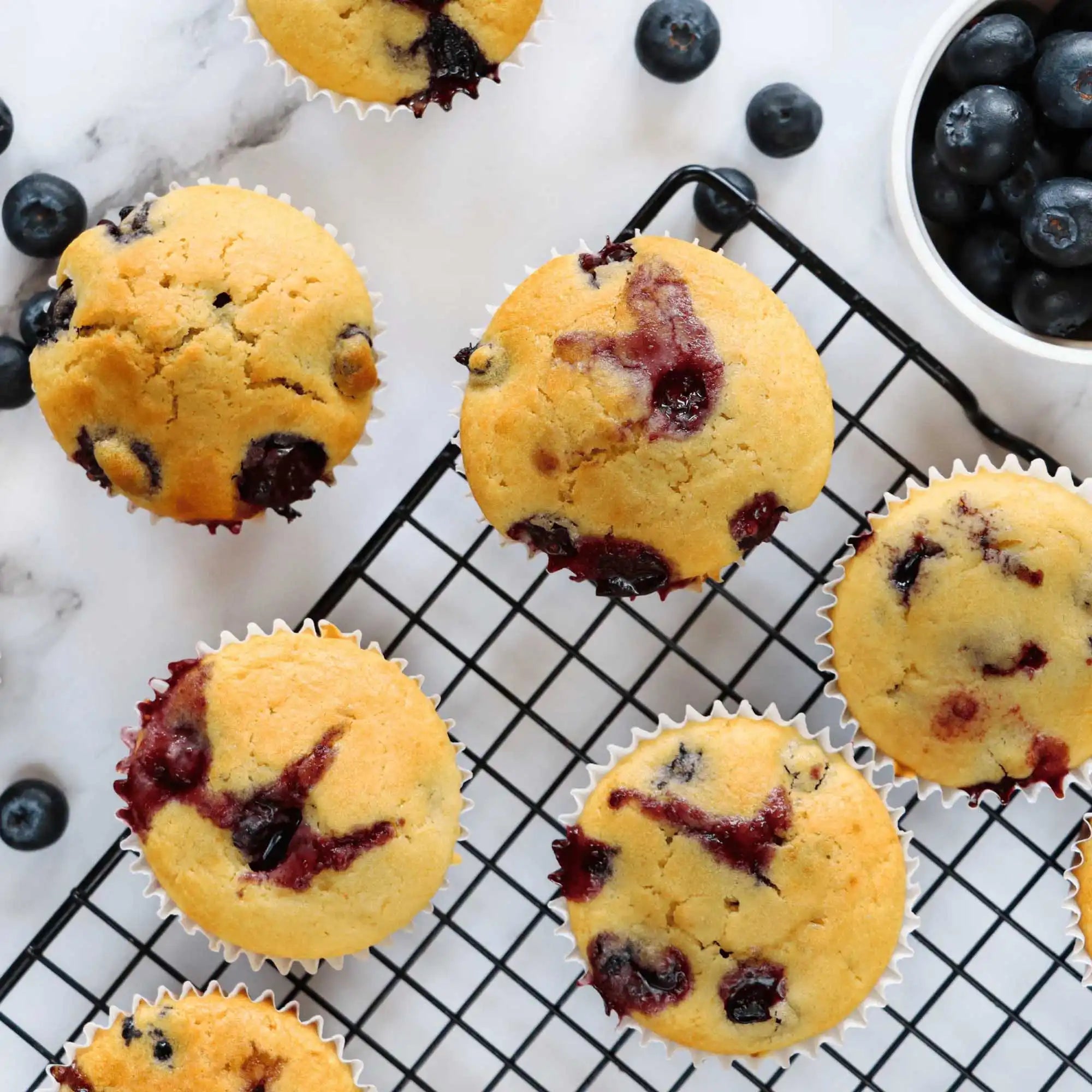 Blueberry muffins on a cooling rack with blueberries around
