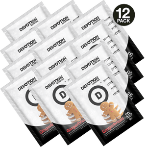 Gingerbread Flavor Protein <br> 12-Pack